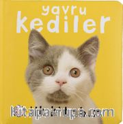 İlk Kitabım - Yavru Kediler