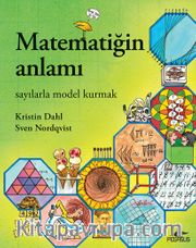 Matematiğin Anlamı: Sayılarla Model Kurmak