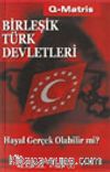 Birleşik Türk Devletleri