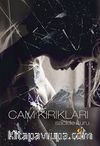 Cam Kırıkları