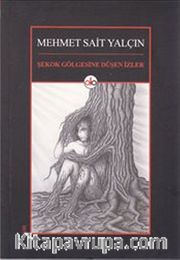 Şekok Gölgesine Düşen İzler