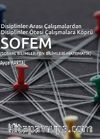 Disiplinler Arası Çalışmalardan Disiplinler Ötesi Çalışmalara Köprü SOFEM