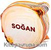 Soğan / Lezzetli Magnetler