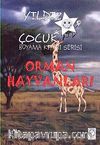 Orman Hayvanları / Yıldız Çocuk Boyama Kitabı Serisi