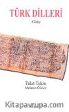 Türk Dilleri (Giriş)