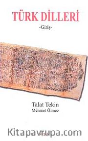 Türk Dilleri (Giriş)