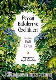Peyzaj Bitkileri ve Özellikleri <br /> Angiospermae - Kapalı Tohumlular