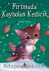 Fırtınada Kaybolan Kedicik