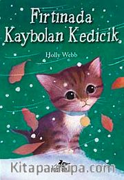 Fırtınada Kaybolan Kedicik