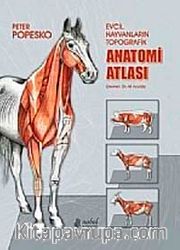 Evcil Hayvanların Topografik Anatomi Atlası Popesko