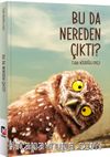 Bu Da Nereden Çıktı?