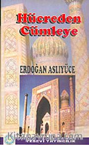 Hücreden Cümleye