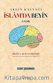 İslam'da Beyin