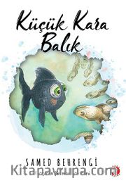Küçük Kara Balık (Karton Kapak)