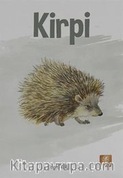 Kirpi
