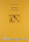 Spinoza: Pratik Felsefe