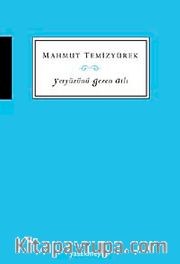 Yeryüzünü Gezen Atlı