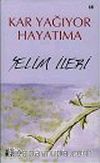 Kar Yağıyor Hayatıma