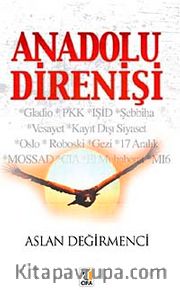 Anadolu Direnişi