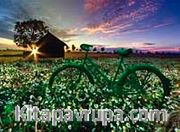 Tour de France Puzzle (26x36 Kod:1000-1007)