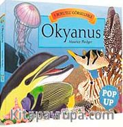 3 Boyutlu Görsellerle Okyanus Pop Up