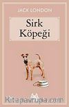 Sirk Köpeği