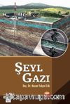 Şeyl Gazı