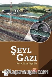 Şeyl Gazı