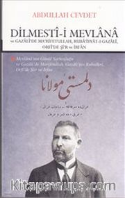 Dilmesti-i Mevlana ve Gazali'de Marifetullah Rubaiyyat-ı Gazali Orfi'de Şir ve İrfan