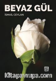 Beyaz Gül