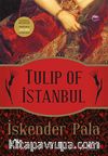 Tulip of İstanbul