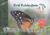 Kral Kelebeğinin Yaşam Döngüsü
