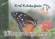 Kral Kelebeğinin Yaşam Döngüsü