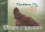 Tavukların Yaşam Döngüsü