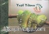 Yeşil Yılanın Yaşam Döngüsü