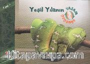 Yeşil Yılanın Yaşam Döngüsü