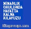 Mimarlık Okulunda Hayatta Kalma Kılavuzu