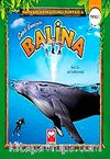 Canlı Denizaltı Balina (Ting) / Hayvanların Gizemli Dünyası -4