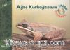 Ağaç Kurbağasının Yaşam Döngüsü